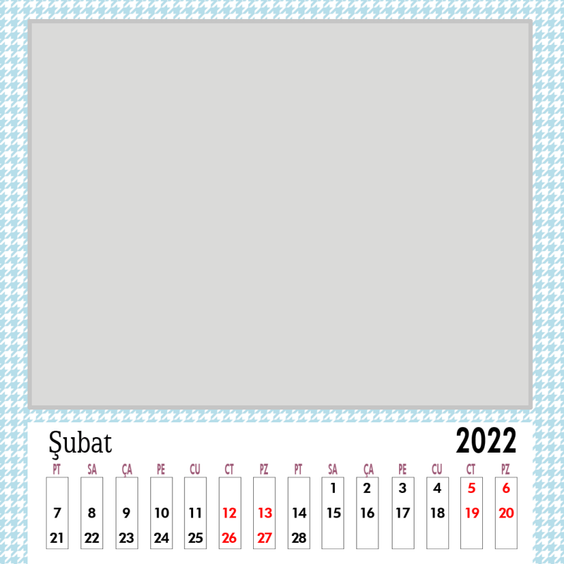 Şubat 2022
