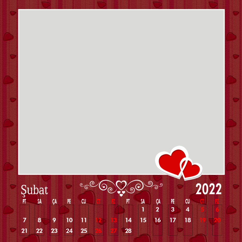 Şubat 2022