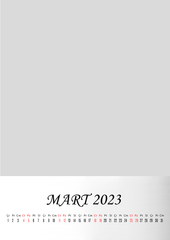 Mart 2023